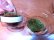 画像6: 作製キット　苔テラリウム　青　金魚鉢