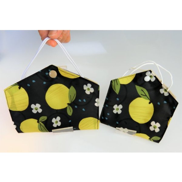 画像1: マスクケース（大）（小）　撥水加工生地　軽い　マスク生活を楽しもう　簡単に消毒できる！　 (1)
