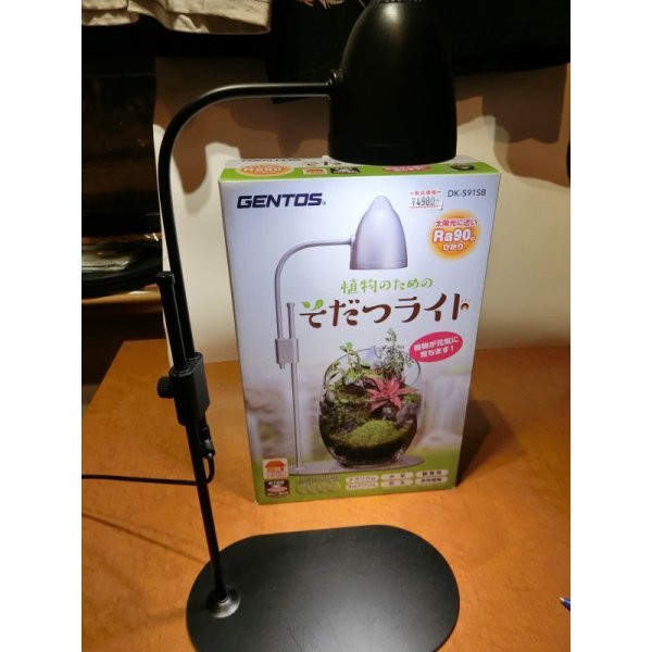 画像13: 作製キット　苔テラリウム　青　金魚鉢 (13)