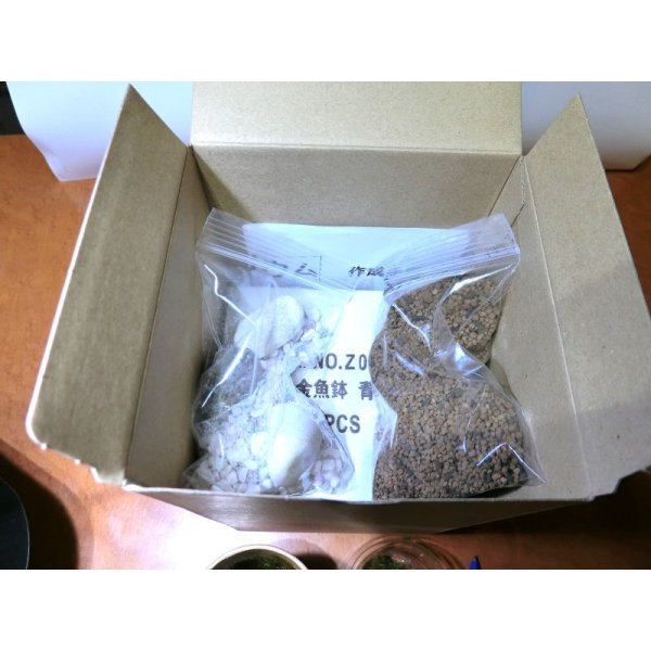 画像8: 作製キット　苔テラリウム　青　金魚鉢 (8)