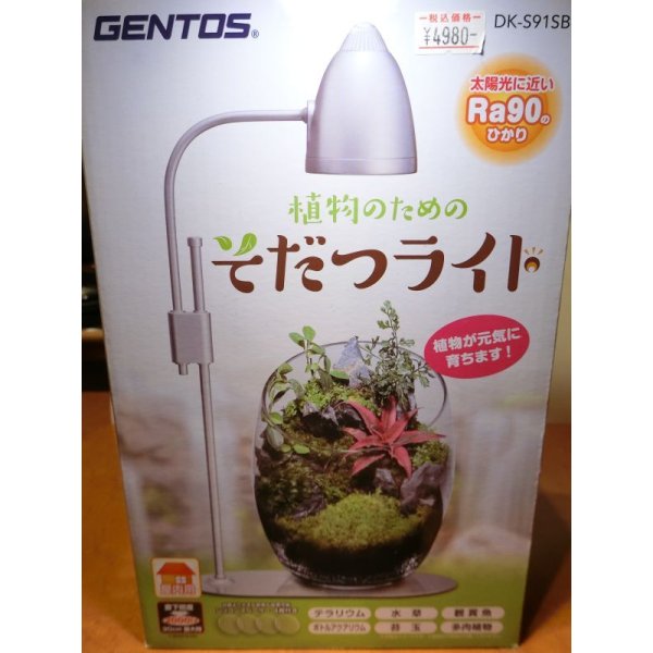 画像9: 作製キット　苔テラリウム　青　金魚鉢 (9)